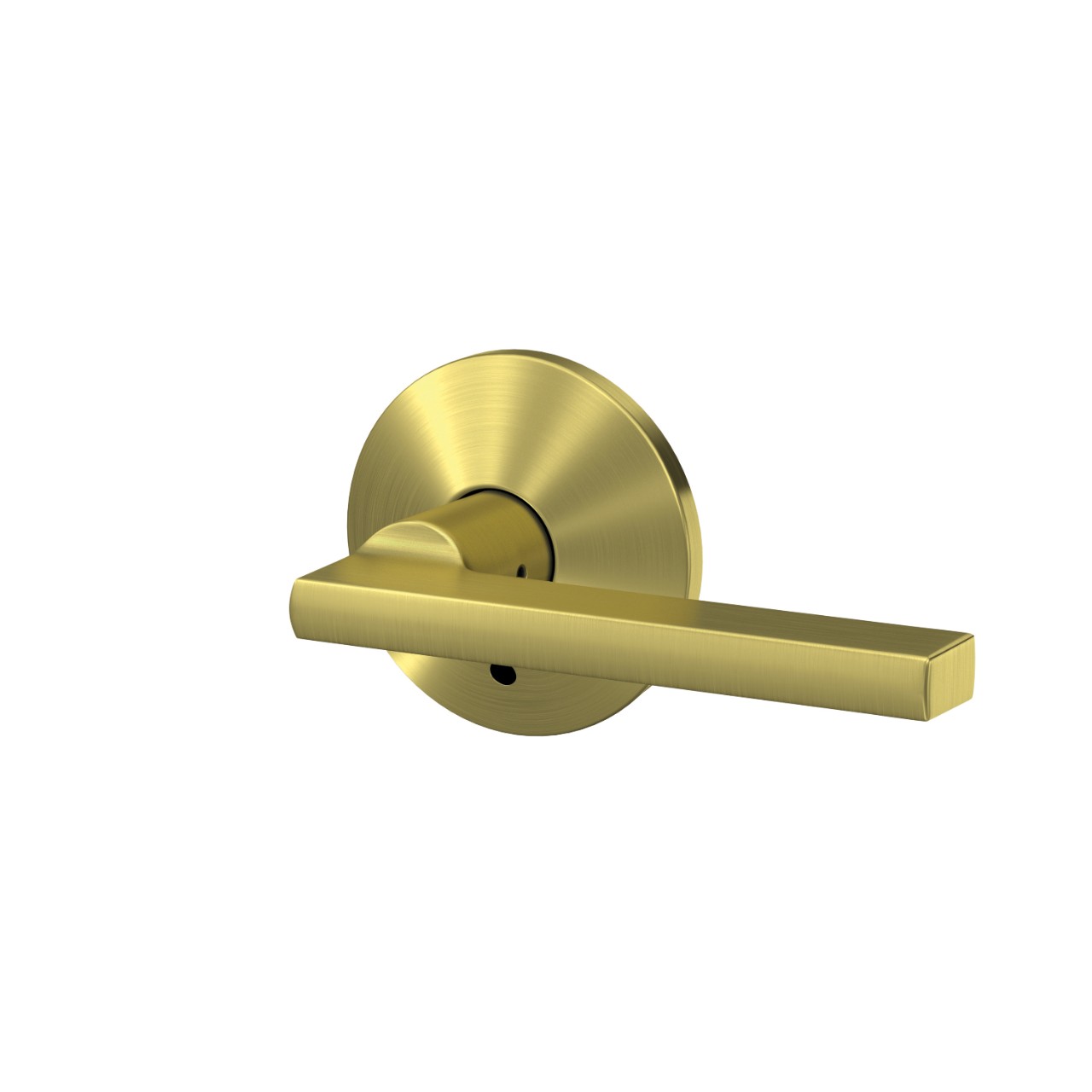 Custom Latitude Non-Turning Lever